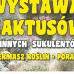 WYSTAWA KAKTUSÓW