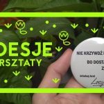 Kreatywne warsztaty z Loesje w Wola Parku