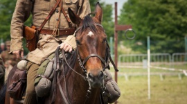Udany piknik historyczny