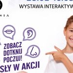 Zobacz, dotknij, poczuj – interaktywna wystawa „Zmysły w akcji” w SCC