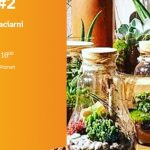 „Las w szkle” – wykład florystyczny z „Badylami”